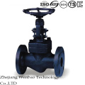 Soupape en acier inoxydable forgé Flange End Globe Valve